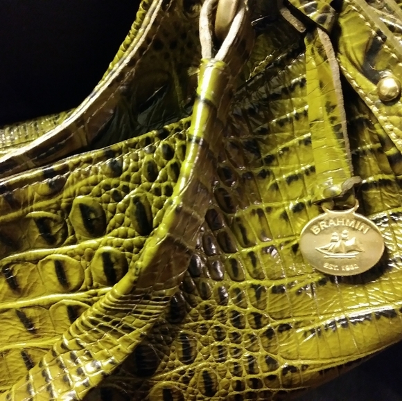 Brahmin - Picture 4 of 4